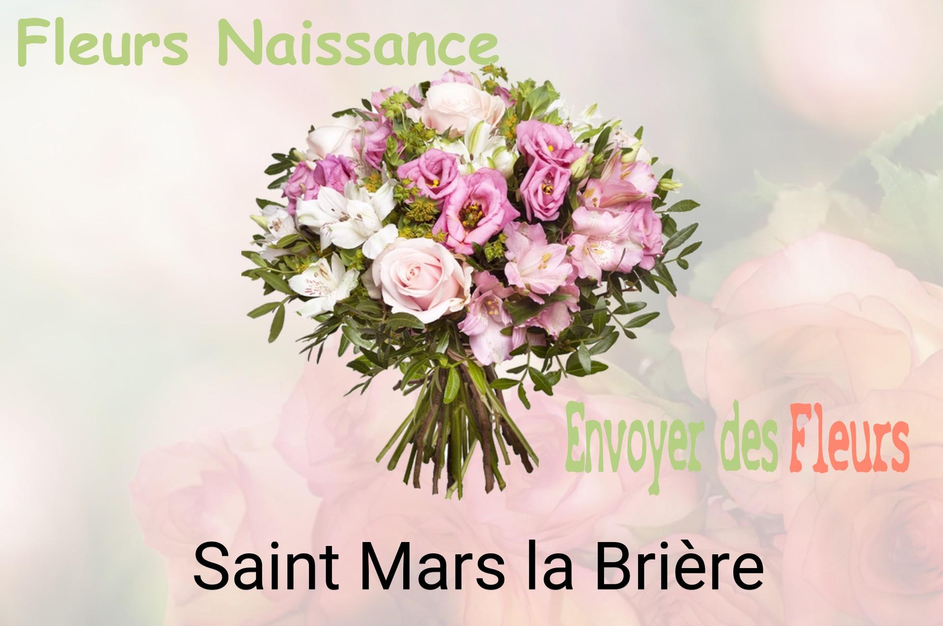 Bouquet de fleurs de naissance livré à Saint-Mars-la-Brière